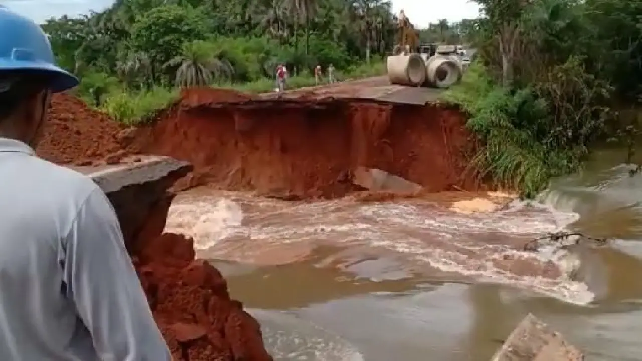 Imagem de capa