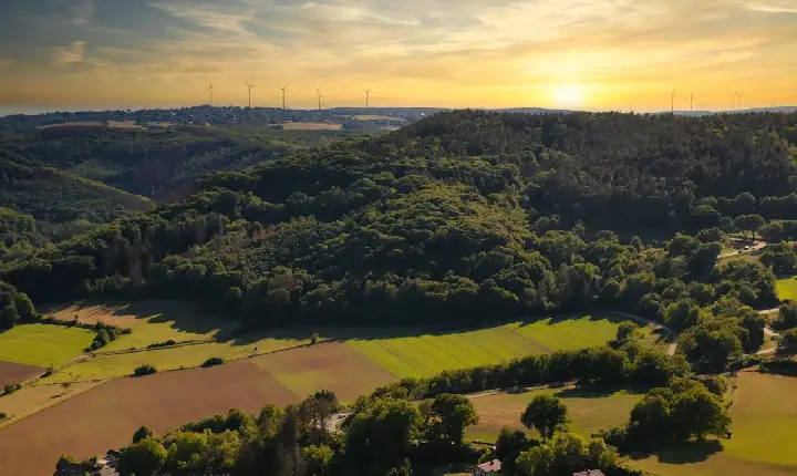 #JornaldoMeioDia, Confira a edição do dia 30/05/2059 - A mudança no Ibama, Os desmatamentos na Amazônia, Eleições