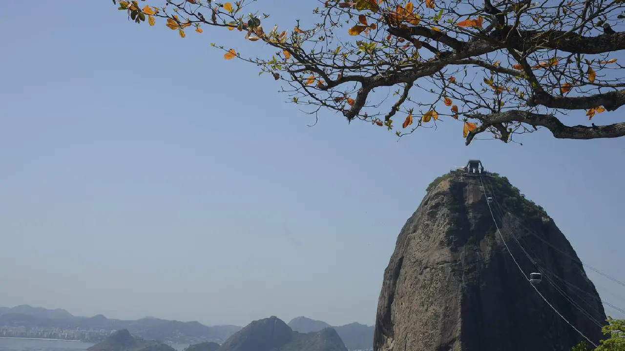 Imagem de capa